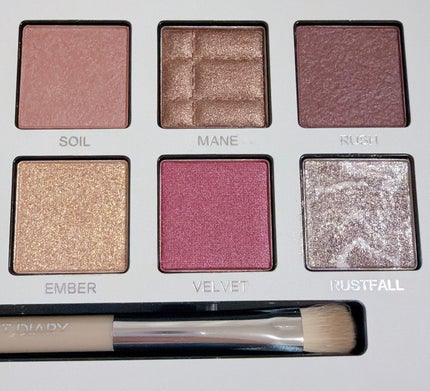 エクスプローラ12色 動物アイシャドウパレット 22 オータムチェスナット/PERFECT DIARY/アイシャドウパレットの画像