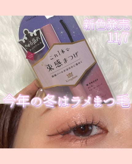 キングダム 束感カールマスカラ/キングダム/マスカラを使ったクチコミ(1枚目)