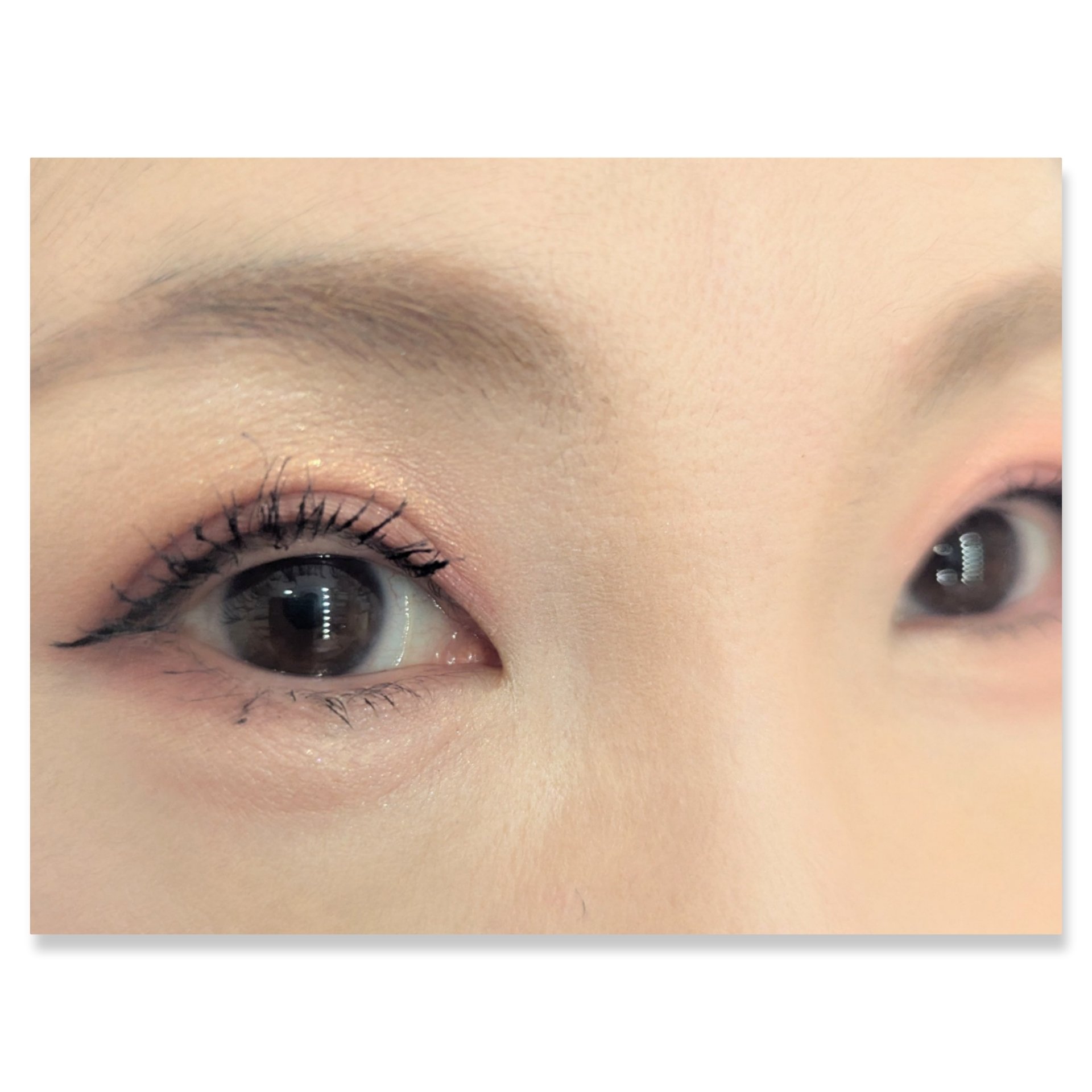 フェイスカラーパレット/チャコット・コスメティクス/アイシャドウパレットを使ったクチコミ（2枚目）