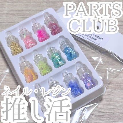 ホログラム+ブリオンセット/Parts Club/ネイルチップ・パーツを使ったクチコミ(1枚目)