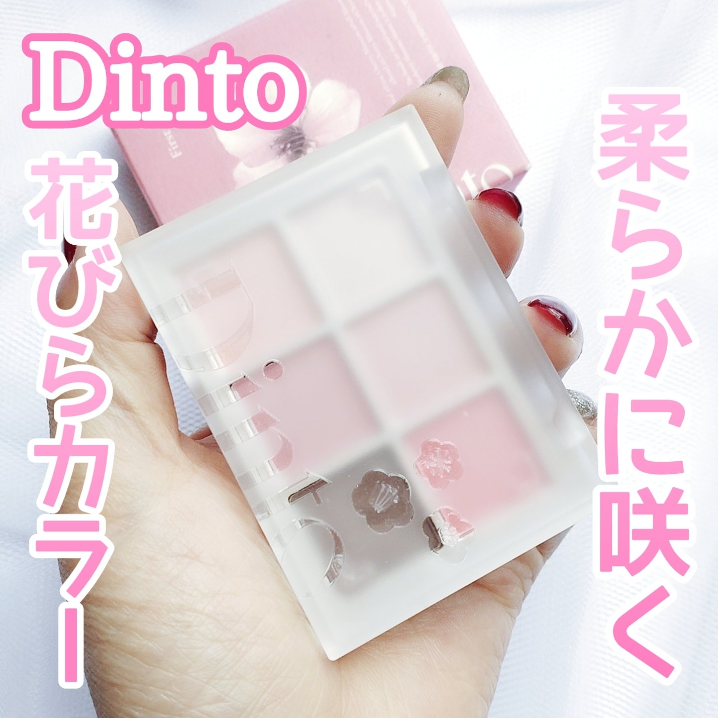 ブラーフィニシュシャドウパレット/Dinto/アイシャドウパレットを使ったクチコミ（1枚目）