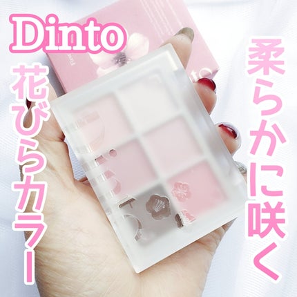 ブラーフィニシュシャドウパレット/Dinto/アイシャドウパレットを使ったクチコミ(1枚目)