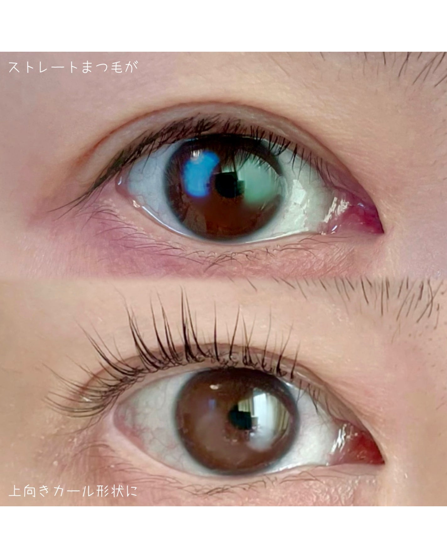 イージーアイラッシュリフトキット/COSNORI/その他キットセットを使ったクチコミ(5枚目)