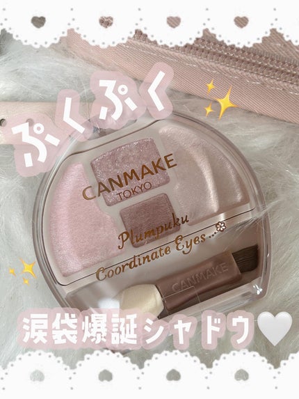 プランぷくコーデアイズNeo/キャンメイク/アイシャドウを使ったクチコミ(1枚目)