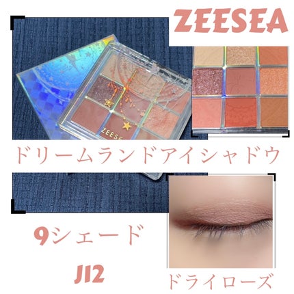 クォーツ 9色アイシャドウパレット(ドリームランドアイシャドウ)/ZEESEA/アイシャドウパレットを使ったクチコミ(1枚目)