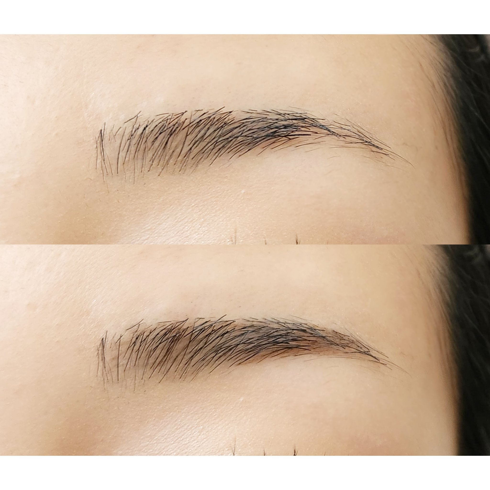 くれ竹 お化粧ふでぺん 眉毛用 毛筆極細/くれ竹 /リキッドアイブロウを使ったクチコミ（3枚目）