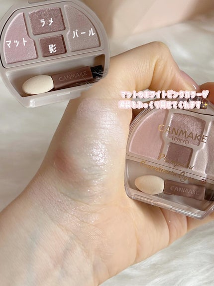 プランぷくコーデアイズNeo/キャンメイク/アイシャドウを使ったクチコミ(3枚目)