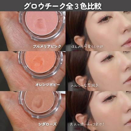 ザ・フラワーショップ グロウチーク/THE FLOWER SHOP/パウダーチークを使ったクチコミ(8枚目)