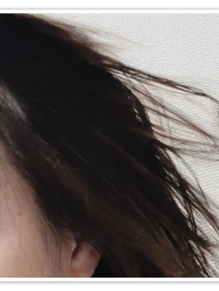 ダブルケアドライヤーse/ANLAN/ドライヤーを使ったクチコミ(6枚目)