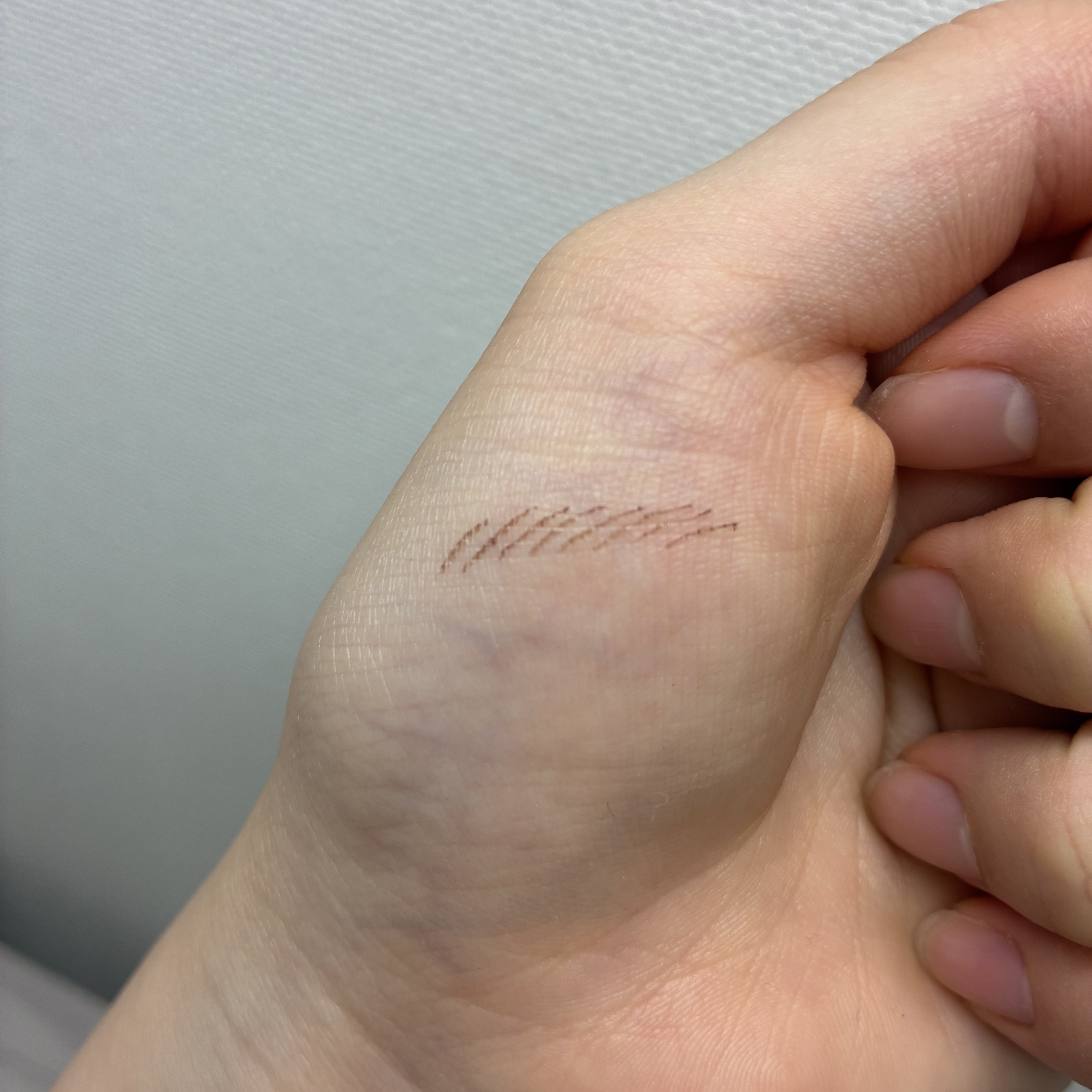 くれ竹 お化粧ふでぺん 眉毛用 毛筆極細/くれ竹 /リキッドアイブロウを使ったクチコミ（2枚目）