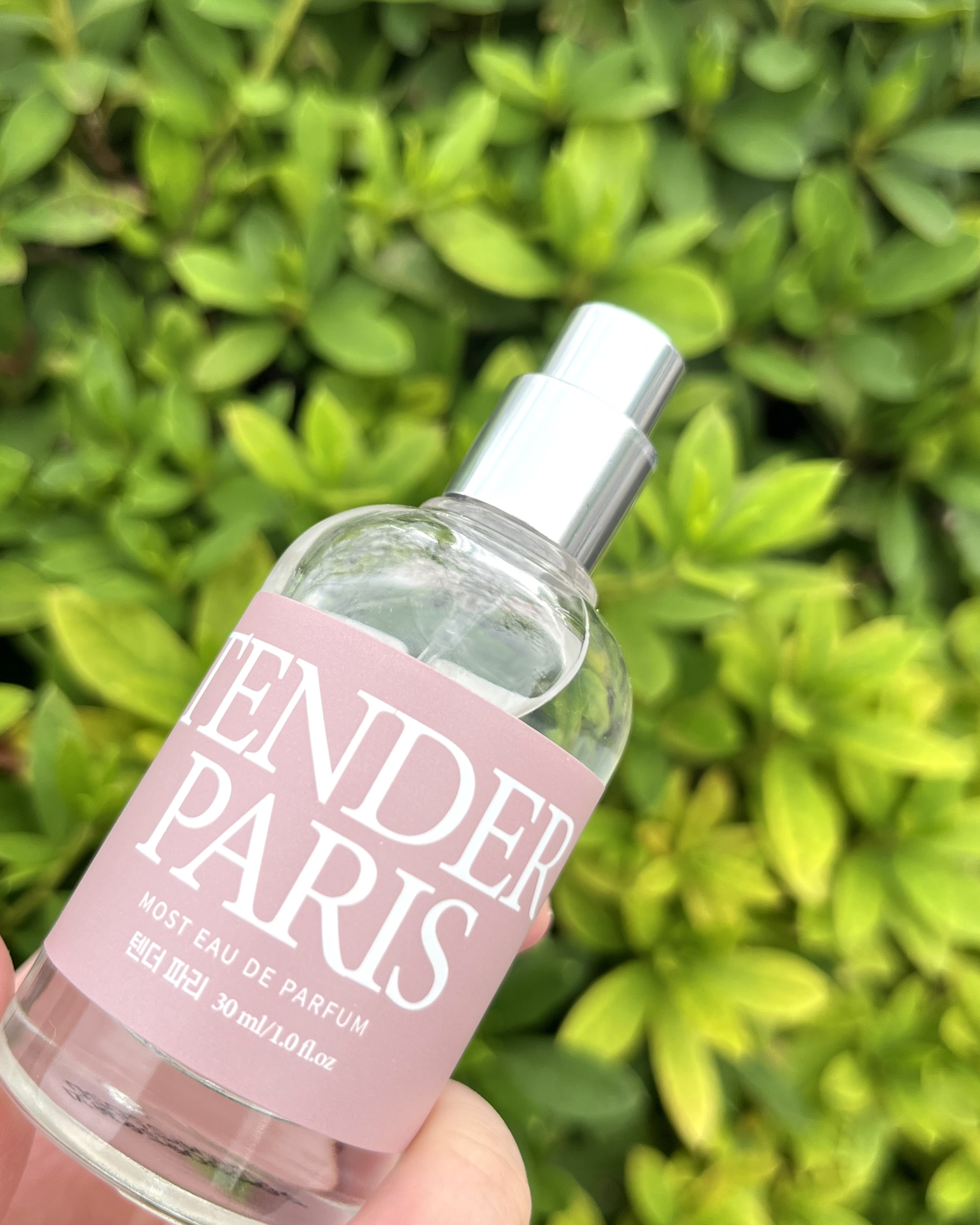 モストオードパルファム/DAILY COMMA/香水(レディース)を使ったクチコミ（3枚目）