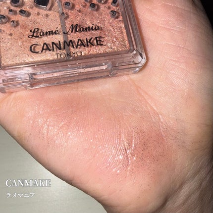 ラメマニア/キャンメイク/アイシャドウを使ったクチコミ(3枚目)