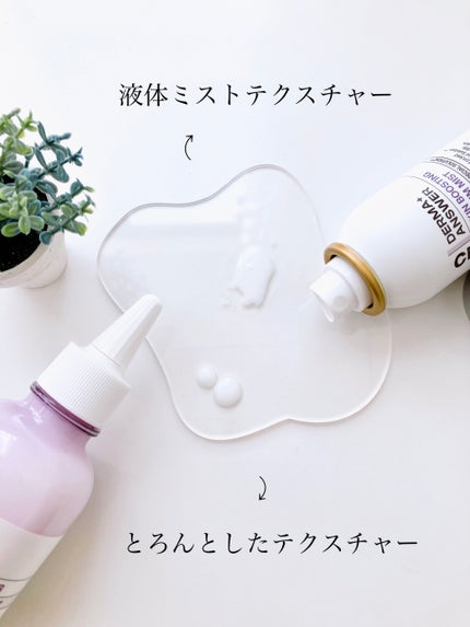 CNP ダーマアンサー スキン ブースティング セラム ミスト/CNP Laboratory/ミスト状化粧水を使ったクチコミ(6枚目)