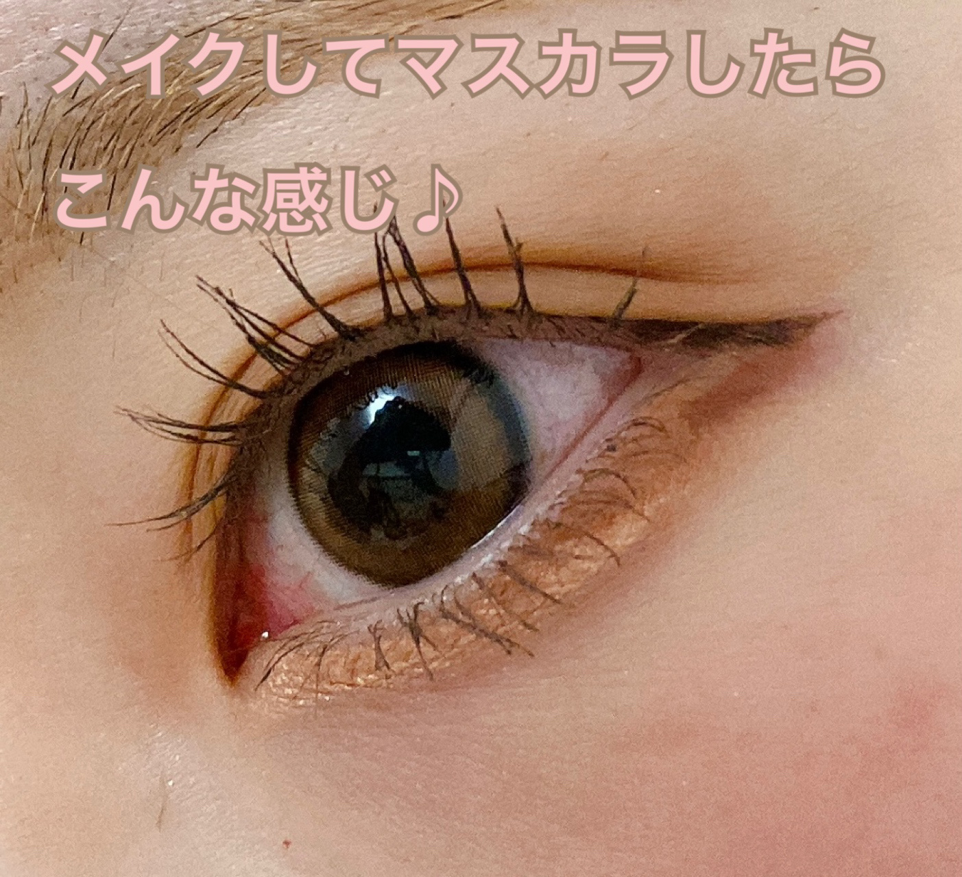 アイラッシュセラム プレミアムEX/ヒロインメイク/まつげ美容液を使ったクチコミ（2枚目）