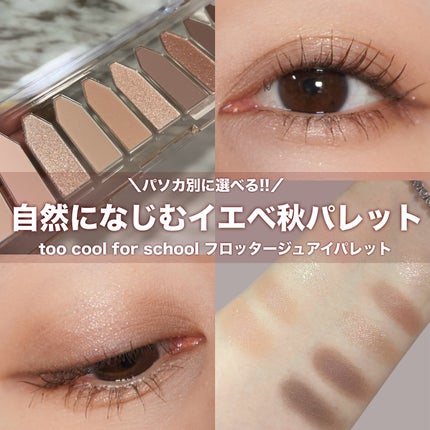 プロタージュアイパレット/too cool for school/アイシャドウパレットを使ったクチコミ(1枚目)