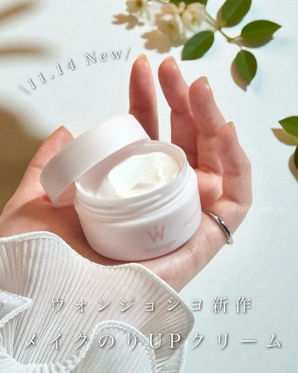 ウォンジョンヨ モイストセットアップクリーム/Wonjungyo/化粧下地を使ったクチコミ(1枚目)