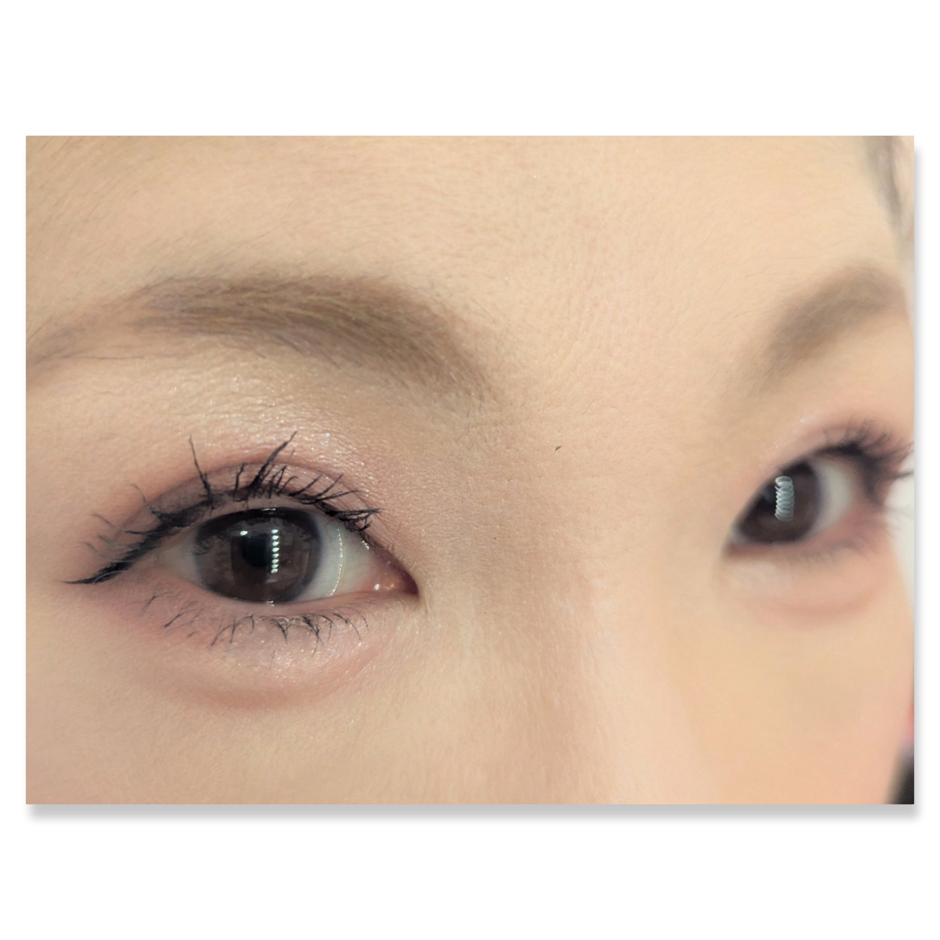 キス ズームアイポーション/KiSS/アイシャドウパレットを使ったクチコミ（2枚目）