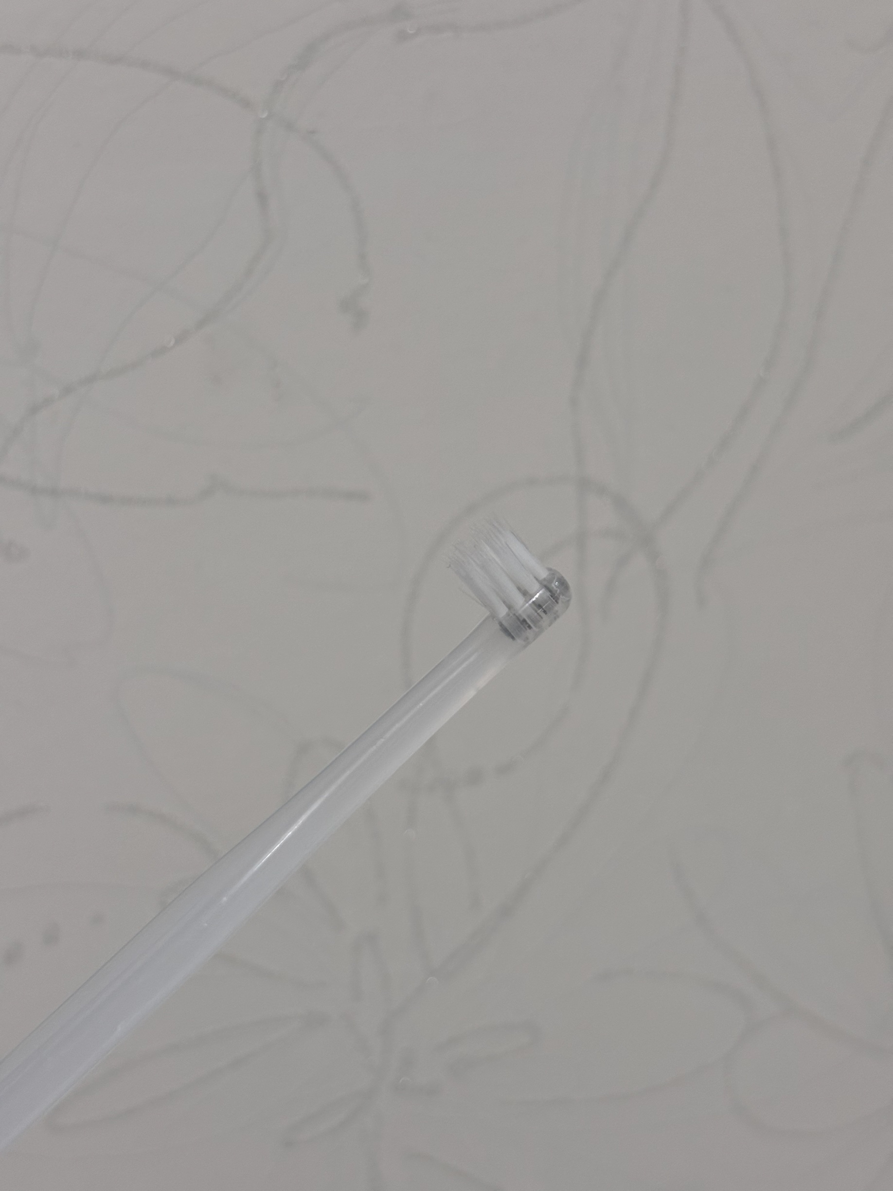 歯ブラシ・コンパクトヘッド/無印良品/歯ブラシを使ったクチコミ（1枚目）