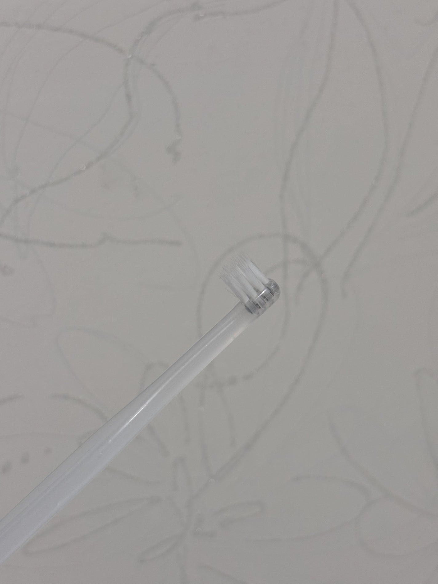 歯ブラシ・コンパクトヘッド/無印良品/歯ブラシを使ったクチコミ(1枚目)