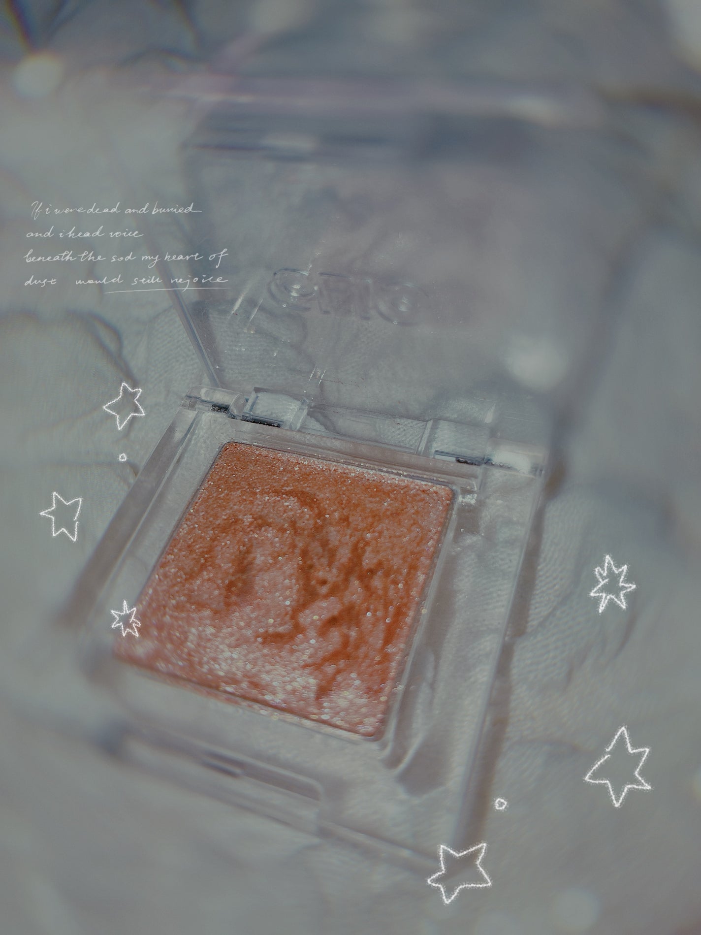 プロ シングル シャドウ(AD)/CLIO/単色アイシャドウを使ったクチコミ(1枚目)