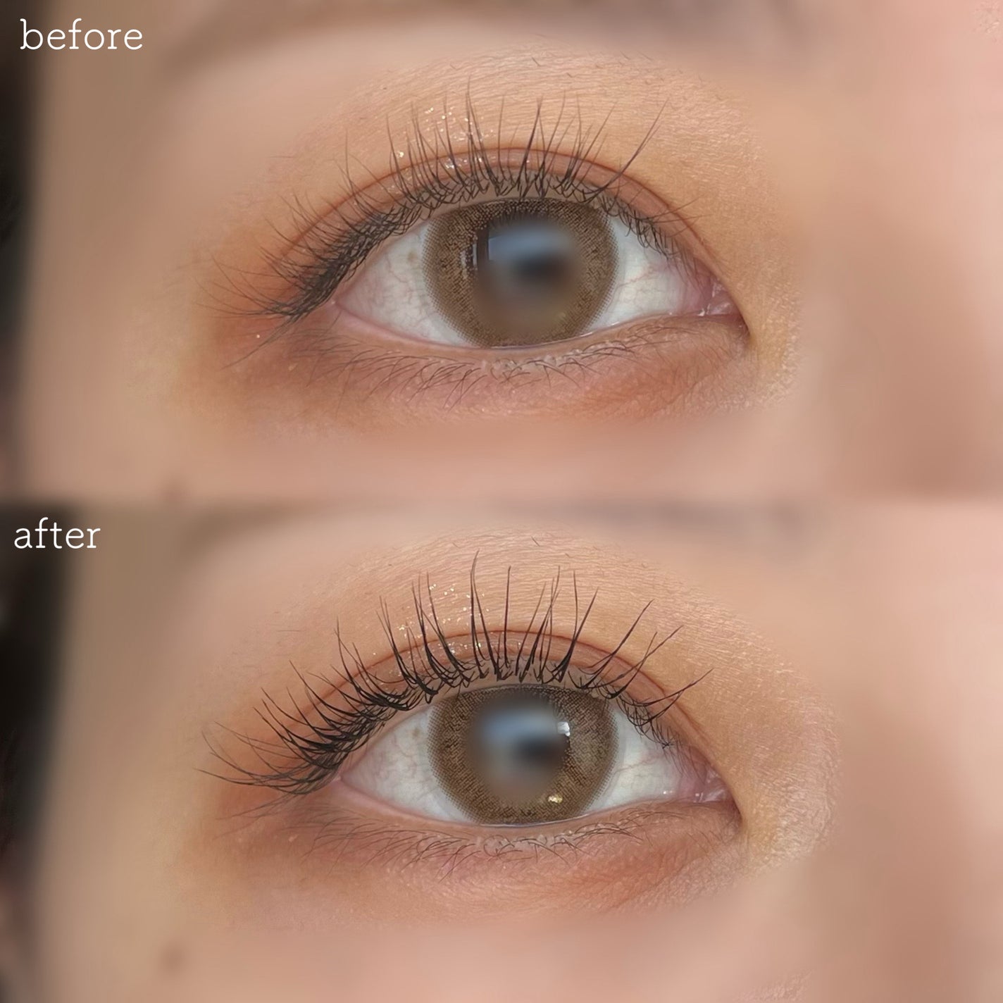 ウォンジョンヨ ヌードアイラッシュ/Wonjungyo/マスカラを使ったクチコミ(4枚目)