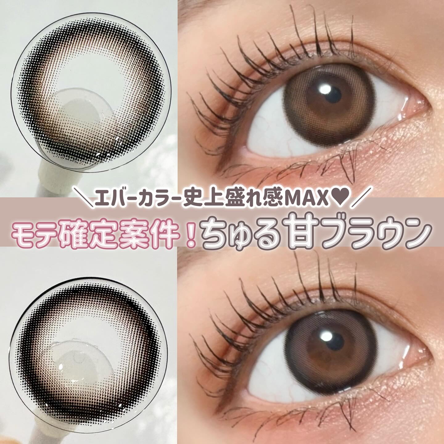 エバーカラーワンデー ナチュラル テディモカ/エバーカラー/ワンデー（１DAY）カラコンを使ったクチコミ（1枚目）