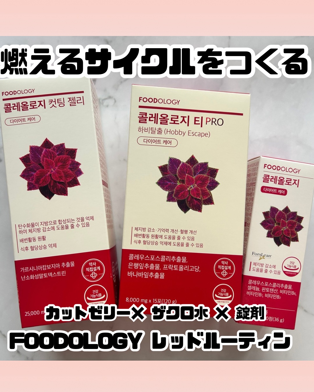朝・昼・夜で使い分けできるレッドルーティンを取り入れてみました✨

朝：ザクロ水PRO
朝起きたら500mlの水に溶かして作って1日かけて飲んでるよ。
さっぱりしていて飲みやすい！

昼：カットゼリー
食後にちょっと甘いものが欲しい時にぴっ