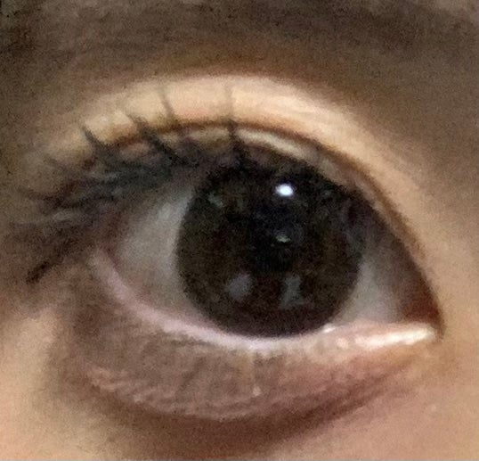 MOLAK 1day/MOLAK/ワンデー(1DAY)カラコンを使ったクチコミ(1枚目)