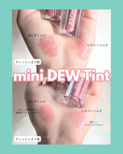 デューティント/AMUSE/リップティントを使ったクチコミ(3枚目)