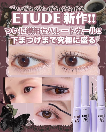 カールフィックスマスカラ/ETUDE/マスカラを使ったクチコミ(1枚目)