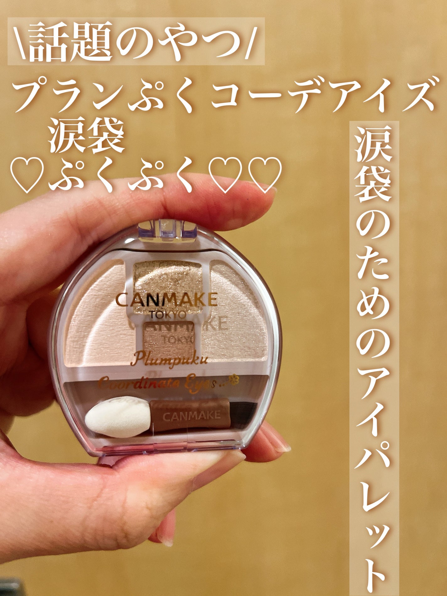 プランぷくコーデアイズ/キャンメイク/パウダーアイシャドウを使ったクチコミ(1枚目)