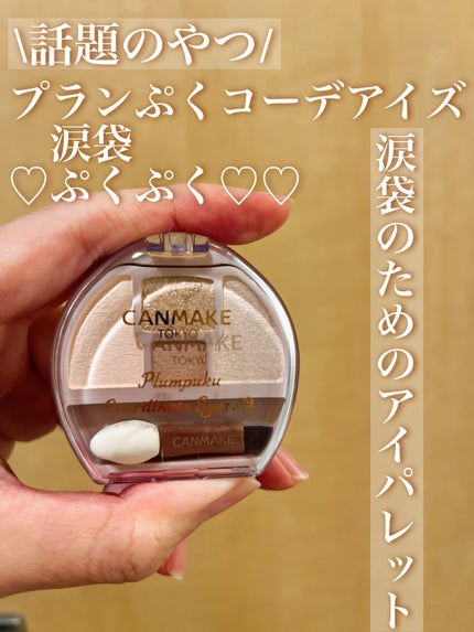プランぷくコーデアイズ/キャンメイク/パウダーアイシャドウを使ったクチコミ(1枚目)