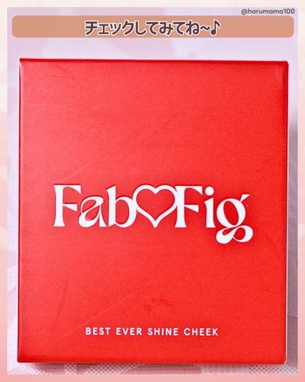 べストエバーシャインチーク/Fab Fig/パウダーチークを使ったクチコミ(7枚目)