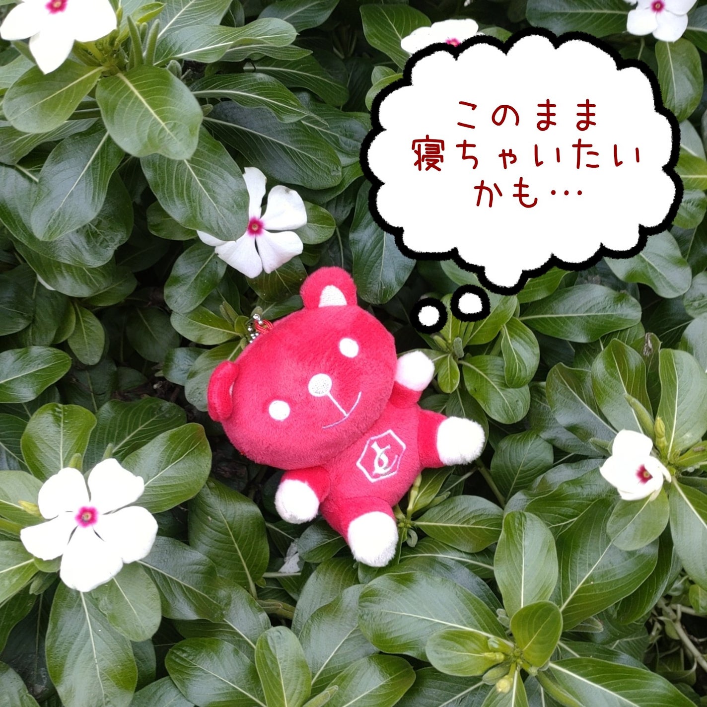 cherrygirlð on LIPS ããžã¥ãšã«ããŸãšâãŸãã«ã¡ãã£ããâã«æ¥œãããâ¡/ããããããžã¥..ãïŒ4æç®ïŒ