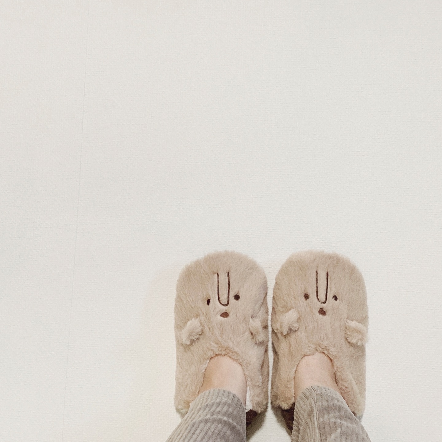 ルームシューズ/しまむら/その他を使ったクチコミ（1枚目）