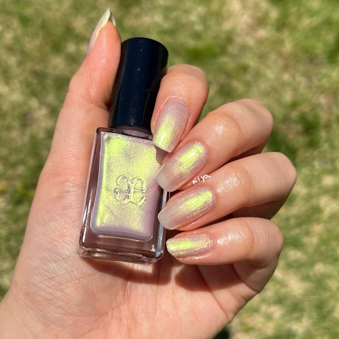 エレガンス ラズル エナメルラッカー/エレガンス ラズル /マニキュアを使ったクチコミ(3枚目)