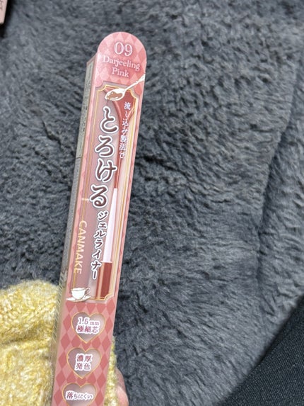 クリーミータッチライナー/キャンメイク/ジェルアイライナーを使ったクチコミ(1枚目)