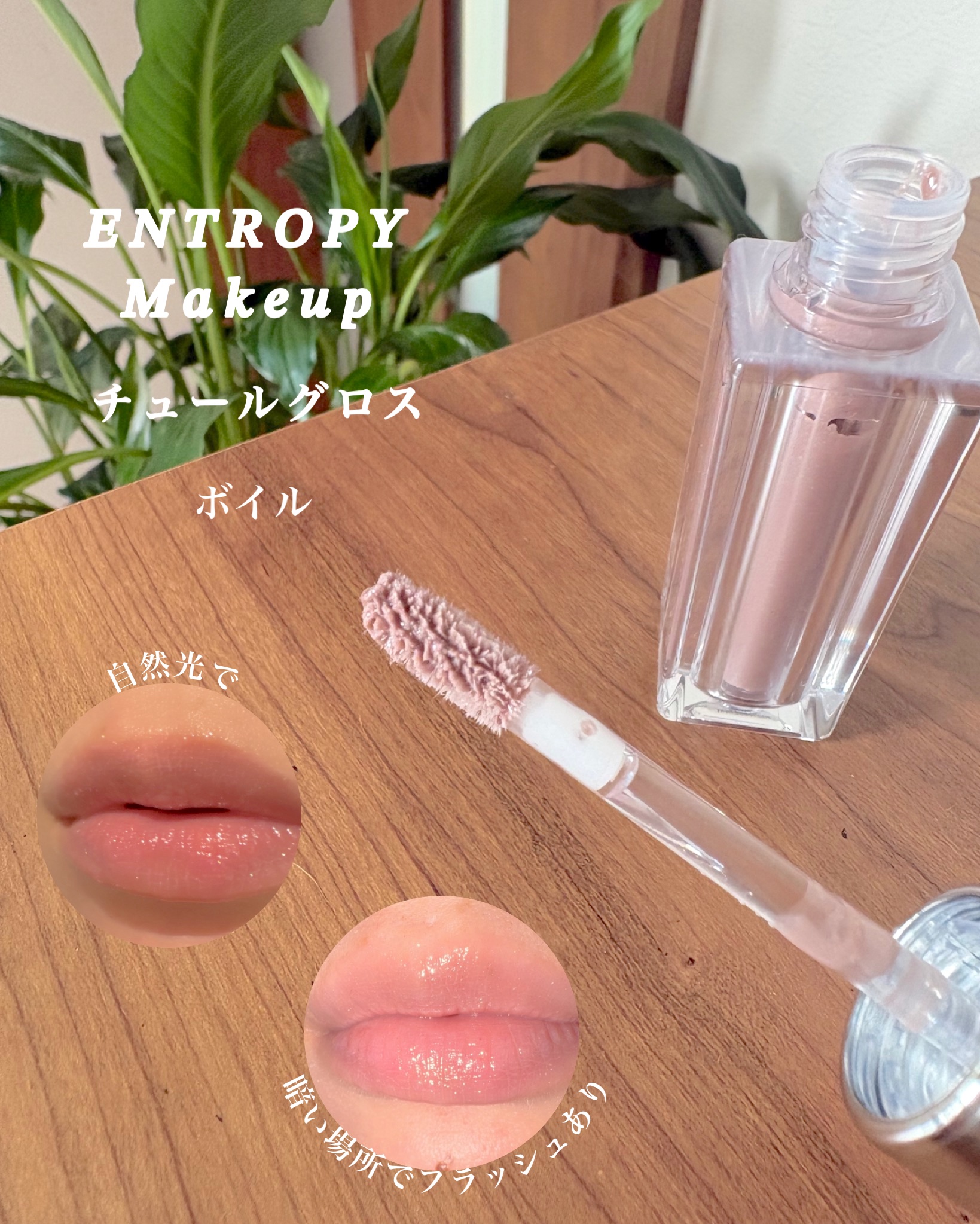 チュールグロス/ENTROPY/リップグロスを使ったクチコミ（3枚目）