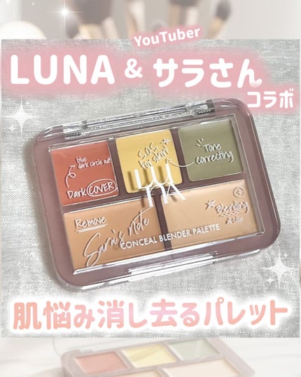 コンシールブレンダーパレット/LUNA/パレットコンシーラーを使ったクチコミ(1枚目)