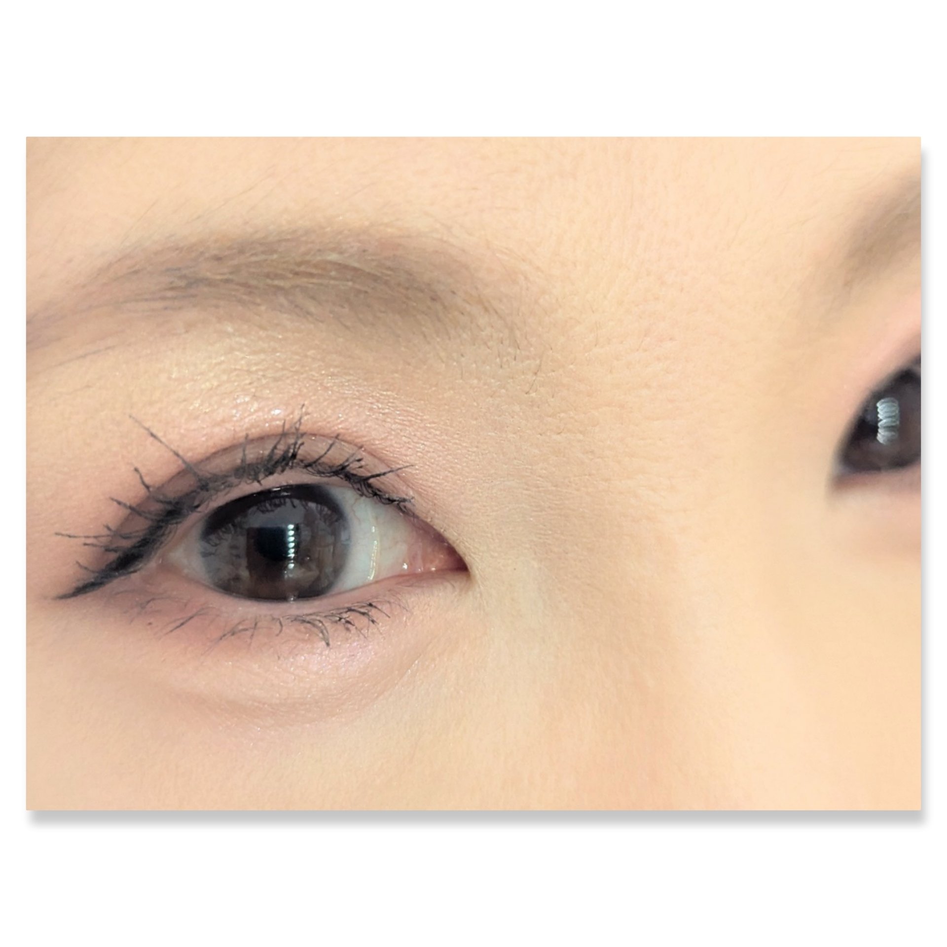 マイベストトーンアイパレット/ETUDE/アイシャドウパレットを使ったクチコミ（2枚目）