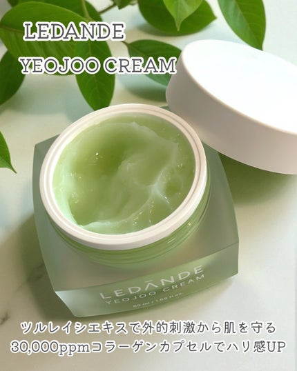 ツルレイシクリーム/LEDANDE/フェイスクリームを使ったクチコミ(3枚目)