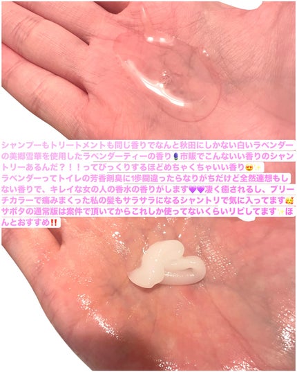 サボンドサボタ モイストプランプペアセット 雪華ラベンダーティー(シャンプー&トリートメント+お試し2連サシェ) /Savon du Savota/その他キットセットを使ったクチコミ(3枚目)