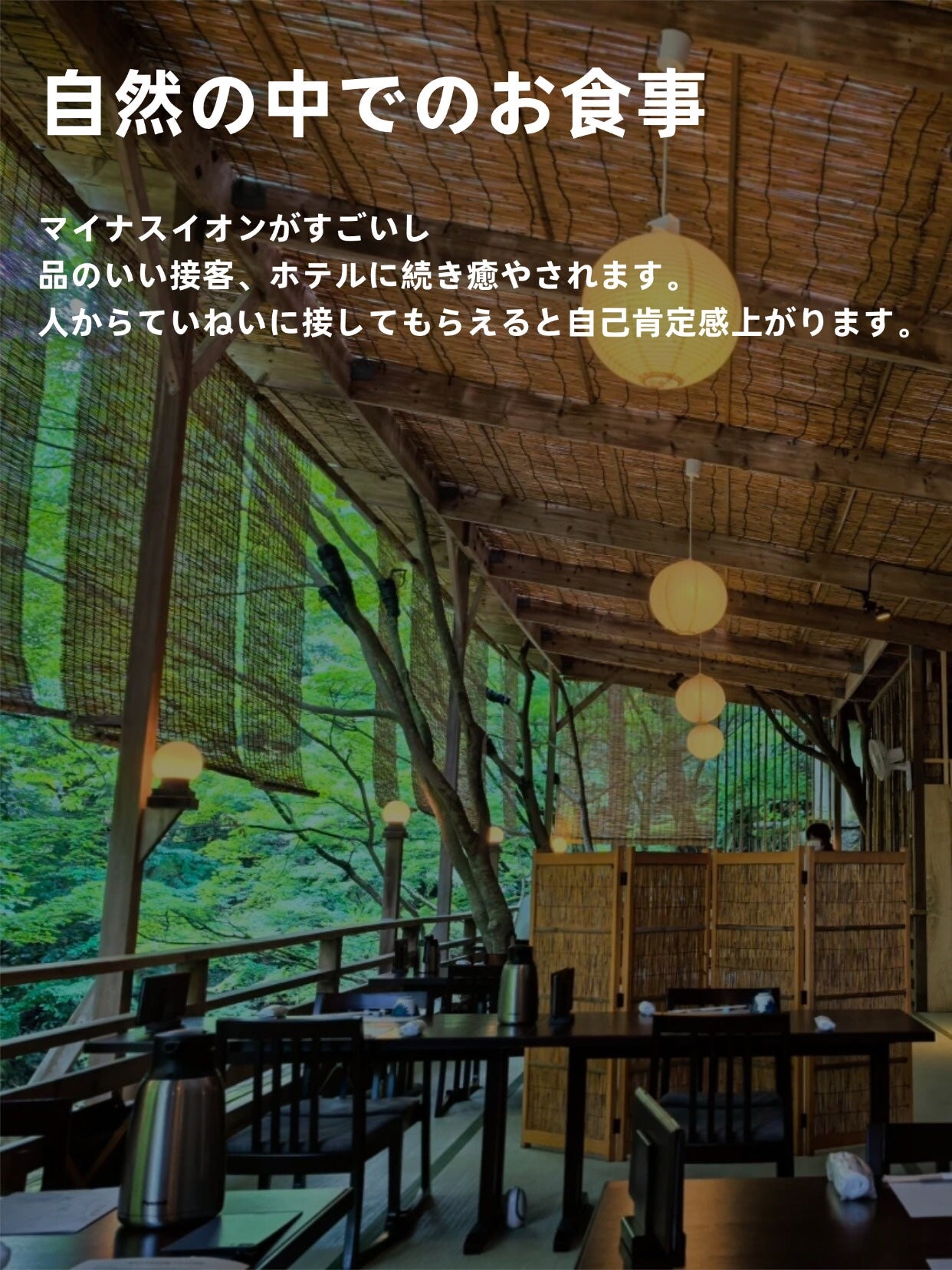 美来 on LIPS 「こんばんは✨京都旅行2日目です。足が筋肉痛通り越して歩けないく..」(5枚目)