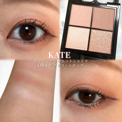 ケイト ポッピングシルエットシャドウ/KATE/アイシャドウパレットを使ったクチコミ(1枚目)