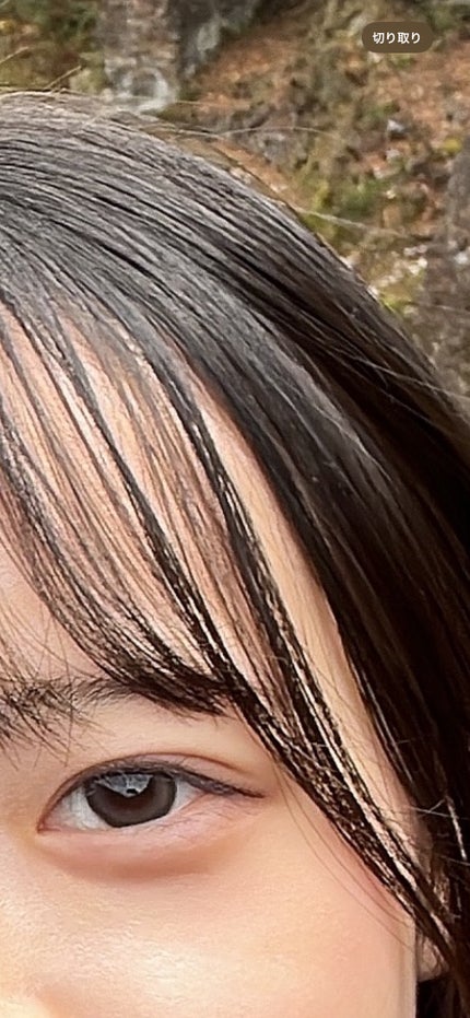 hana❁*.゚ on LIPS 「ショコラティエグレーぽいかんじ?つけたら派手だけど自撮りでも暗..」(2枚目)