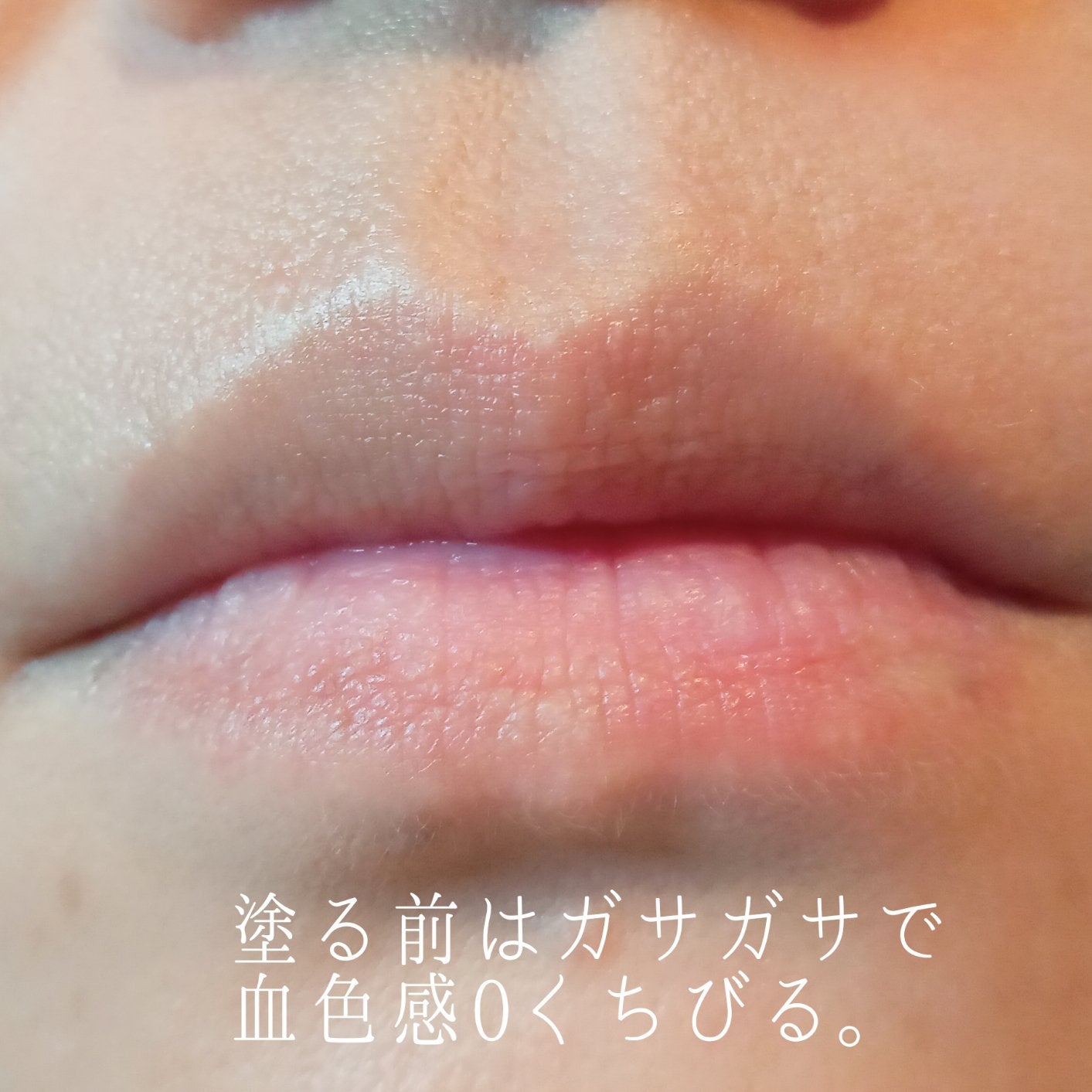 カバーリシャス アルティメット ホワイトクッション/BANILA CO/クッションファンデーションを使ったクチコミ(6枚目)