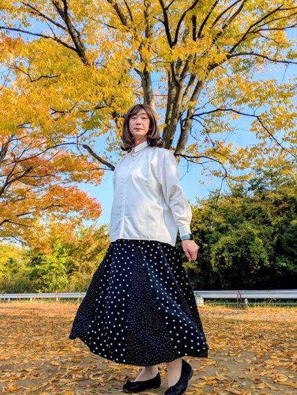 トーンアップアイシャドウ/CEZANNE/アイシャドウパレットを使ったクチコミ(2枚目)