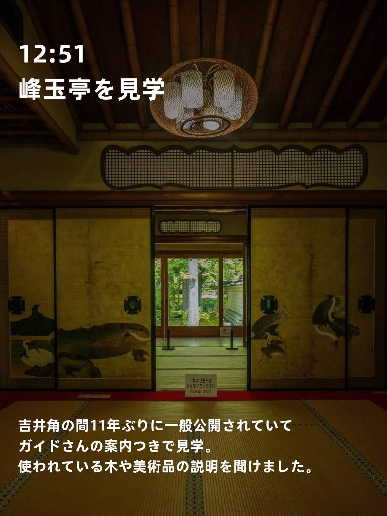 美来 on LIPS 「こんばんは✨京都旅行2日目です。足が筋肉痛通り越して歩けないく..」(6枚目)