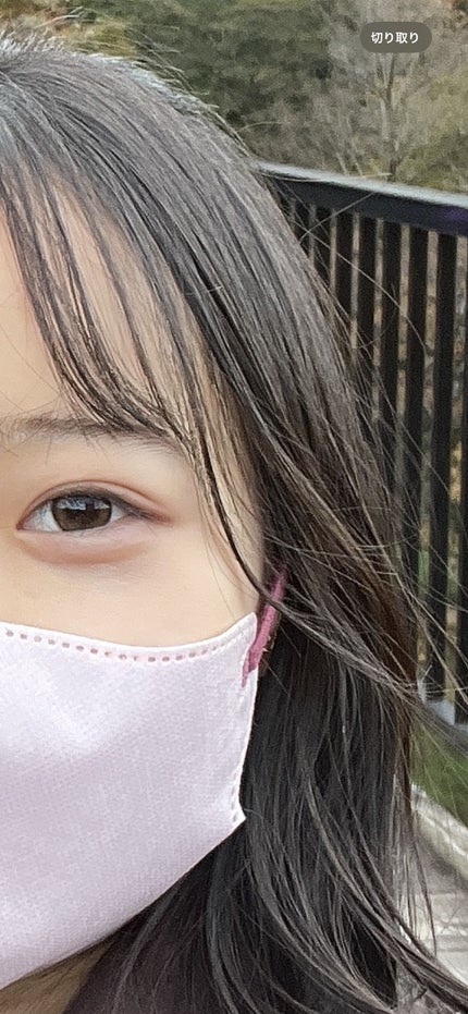 hana❁*.゚ on LIPS 「ビビリングブラウン自撮りだとわかるけど他撮りだとカラコンしてる..」(4枚目)