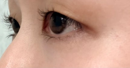 ã¹ã«ã«ãD ã¢ã€ã©ãã·ã¥ã»ã©ã ãã¬ãã¢ã /ã¢ã³ãã¡ãŒ(ã¹ã«ã«ãD)/ãŸã€ãçŸå®¹æ¶²ã䜿ã£ãã¯ãã³ãïŒ1æç®ïŒ